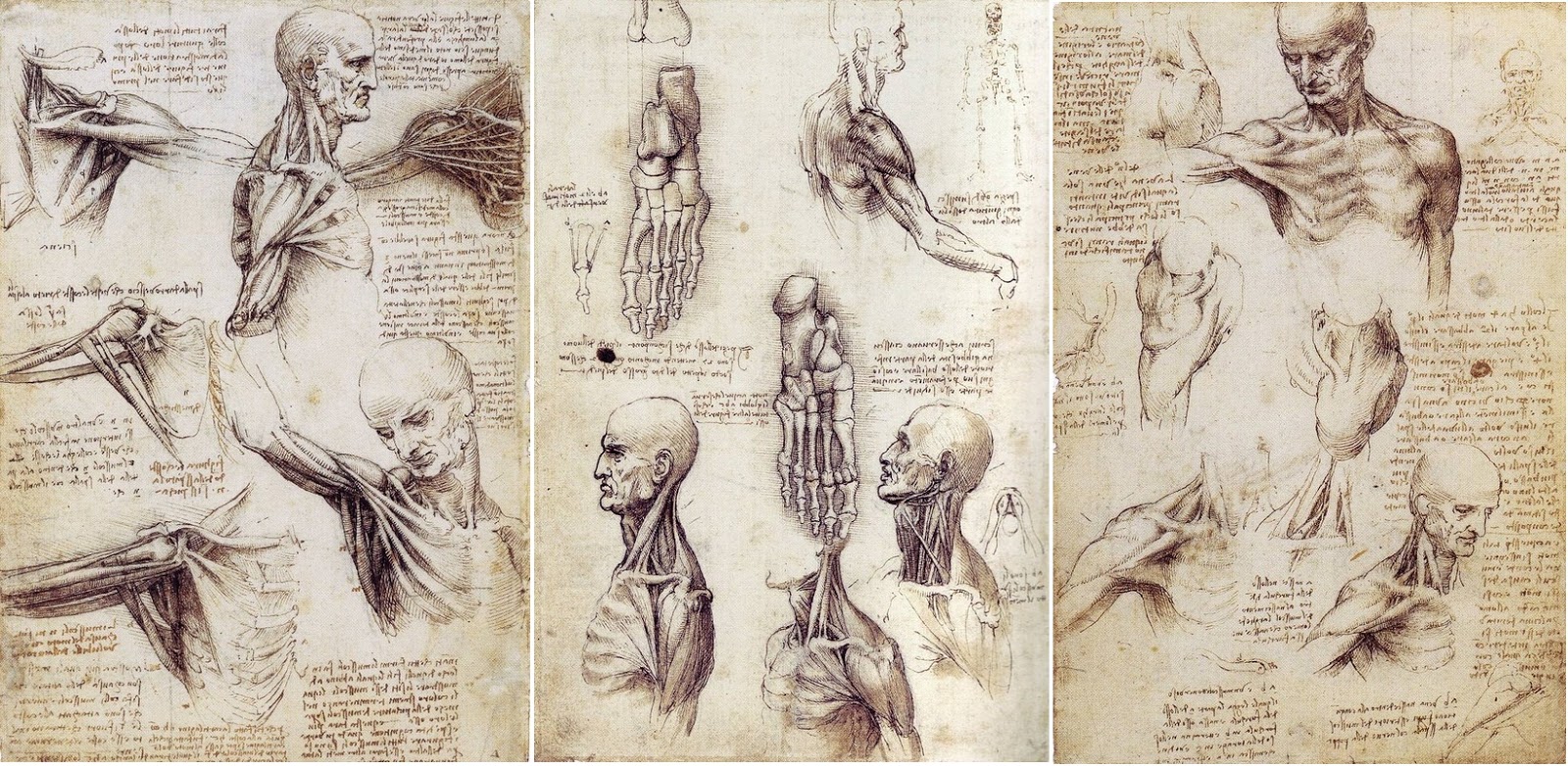 Leonardo+da+Vinci-1452-1519 (925).jpg